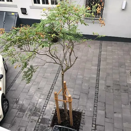 Lejlighed Gaestewohnung Im Logenhaus Mainz