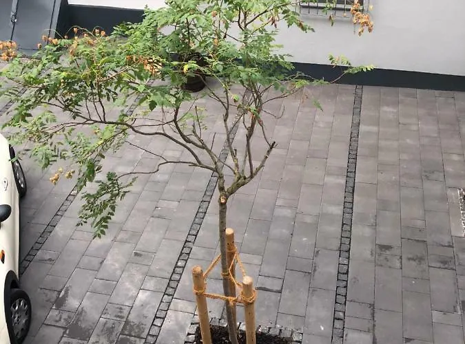 公寓 Gaestewohnung Im Logenhaus 美因茨